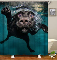 Underwater Puppy