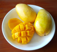 Summertime Mango