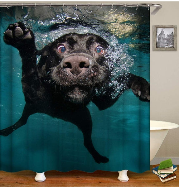 Underwater Puppy