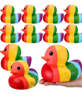 Rainbow Duck