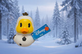 Frozen™ Ducks