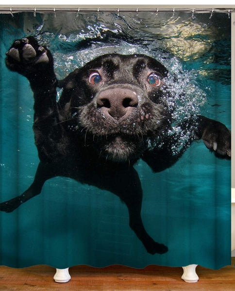 Dog Underwater Photography