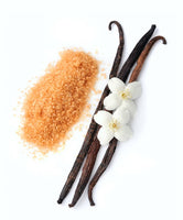 Warm Vanilla Sugar Shower Steamers