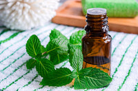 Peppermint Essential Oil Shower Steamer
