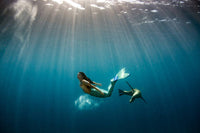 Beauty of the Sea