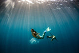Beauty of the Sea