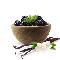 Black Raspberry and Vanilla Shower Steamers